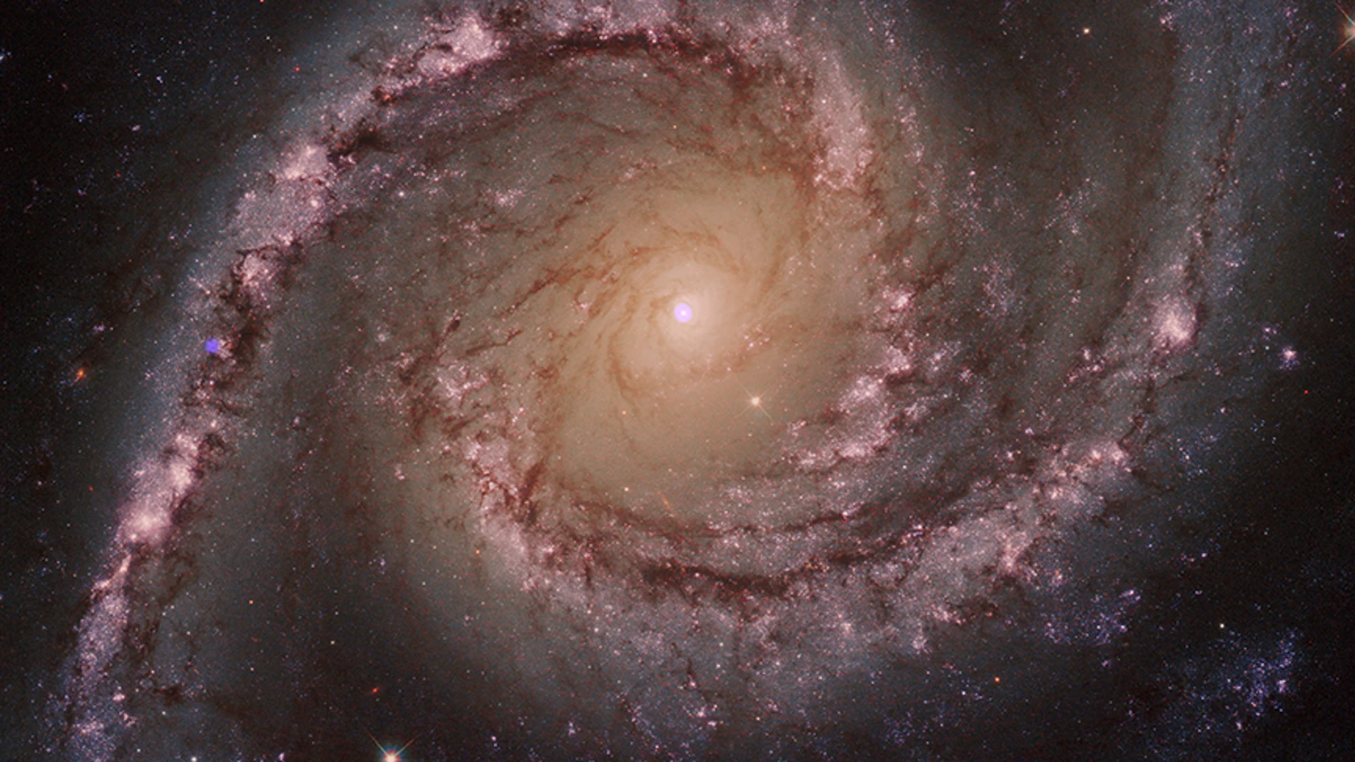 Los agujeros negros &#39;devoran&#39; miles de estrellas para aumentar su tamaño
