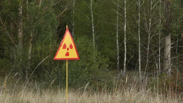 Una señal advierte de la radiación en el 'bosque rojo' cerca de la central nuclear de Chernóbil