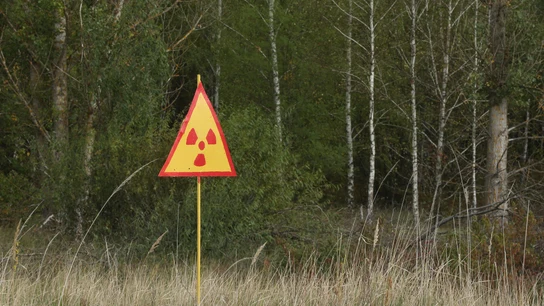 Una señal advierte de la radiación en el 'bosque rojo' cerca de la central nuclear de Chernóbil Una señal advierte de la radiación en el 'bosque rojo' cerca de la central nuclear de Chernóbil