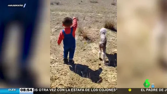 bebé corderito bebé corderito