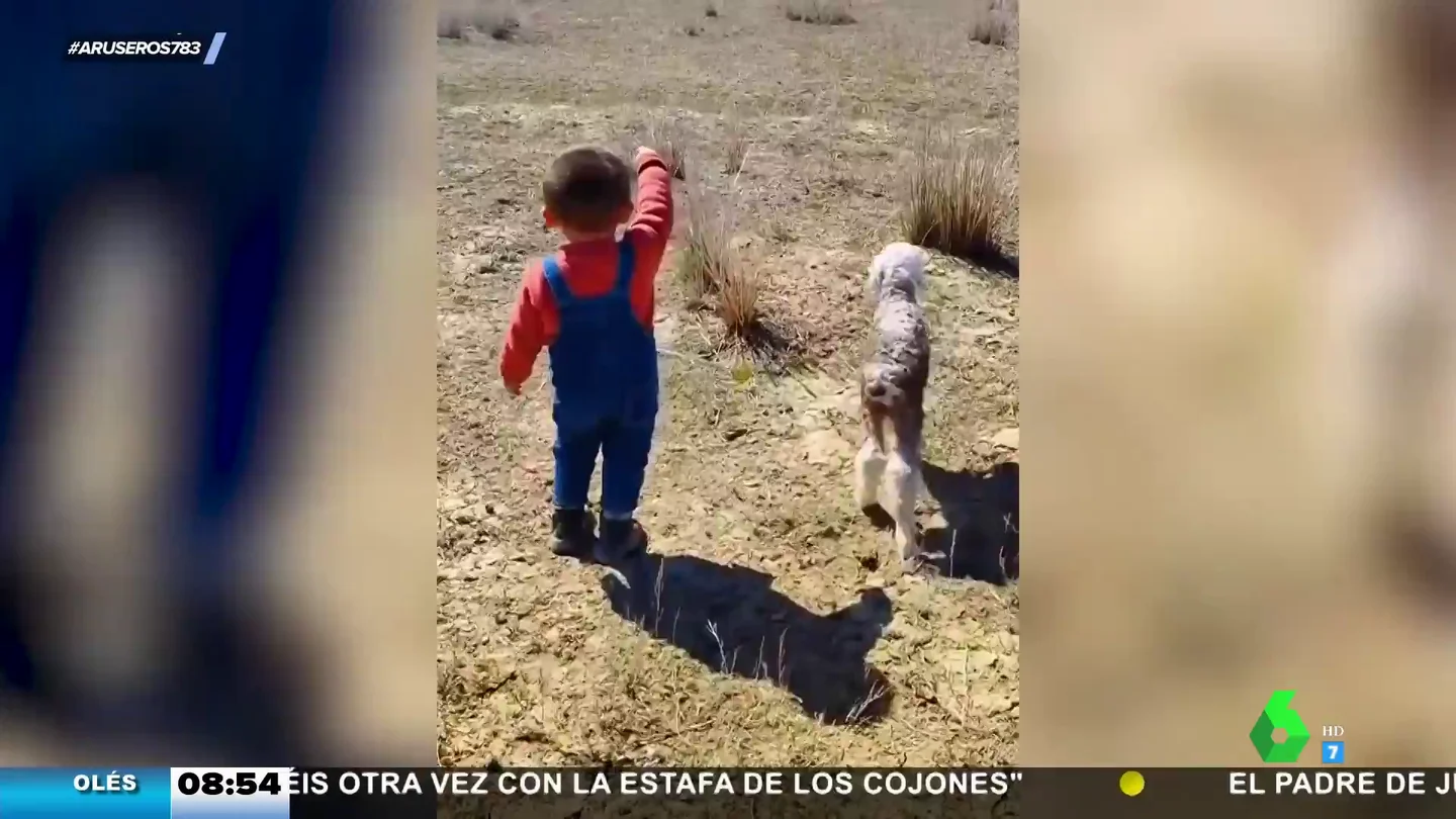bebé corderito bebé corderito