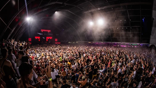 DREAMBEACH DREAMBEACH