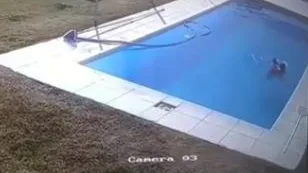 El menor se lanzó al agua sin dudar a pesar de que acababa de aprender a nadar.