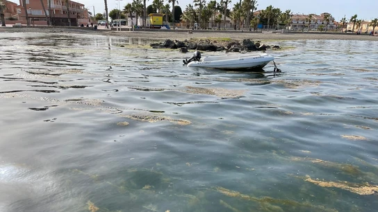 Situación del mar Menor en Los Alcázares a final del abril de 2022 Situación del mar Menor en Los Alcázares a final del abril de 2022