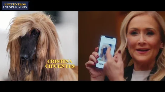 ¿Se parecen a sus perros Mamen Mendizábal, Cristina Cifuentes, Edu Galán, Mónica Carrillo e Iturralde González? ¿Se parecen a sus perros Mamen Mendizábal, Cristina Cifuentes, Edu Galán, Mónica Carrillo e Iturralde González?