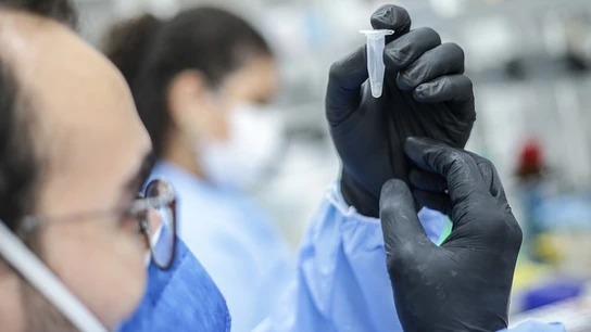 El investigador de un laboratorio observa una muestra El investigador de un laboratorio observa una muestra