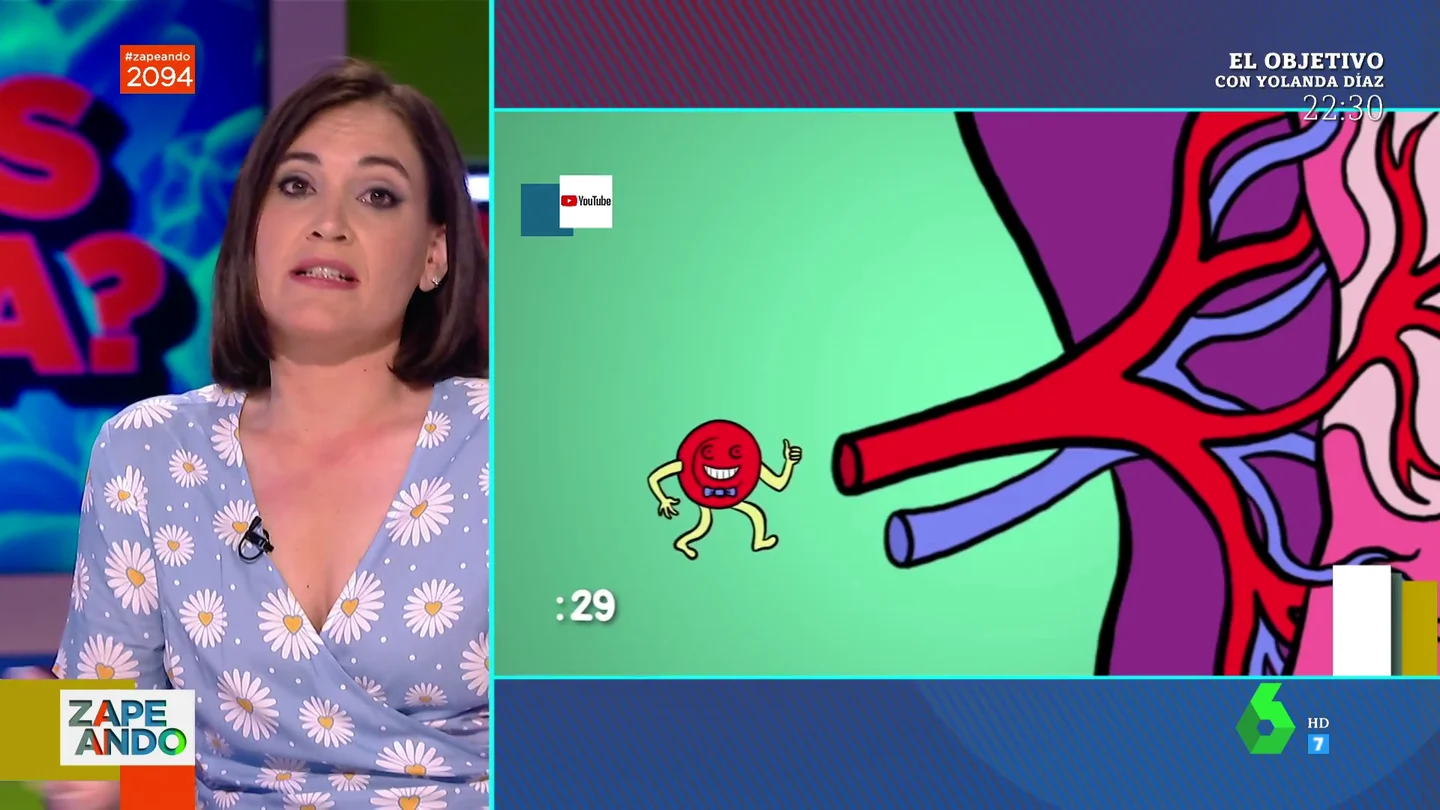 tipos anemias zap tipos anemias zap