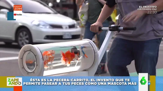 Primeras imágenes de la pecera-carrito: el surrealista invento para pasear a los peces "como una mascota más Primeras imágenes de la pecera-carrito: el surrealista invento para pasear a los peces "como una mascota más