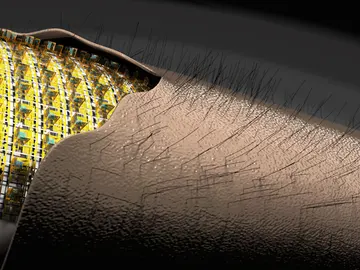 Crean una piel electrónica con tacto peludo Crean una piel electrónica con tacto peludo