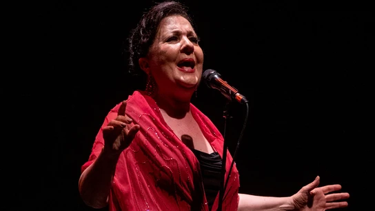 Carmen Linares, Premio Princesa de Asturias de las Artes 2022 Reconocimiento al flamenco