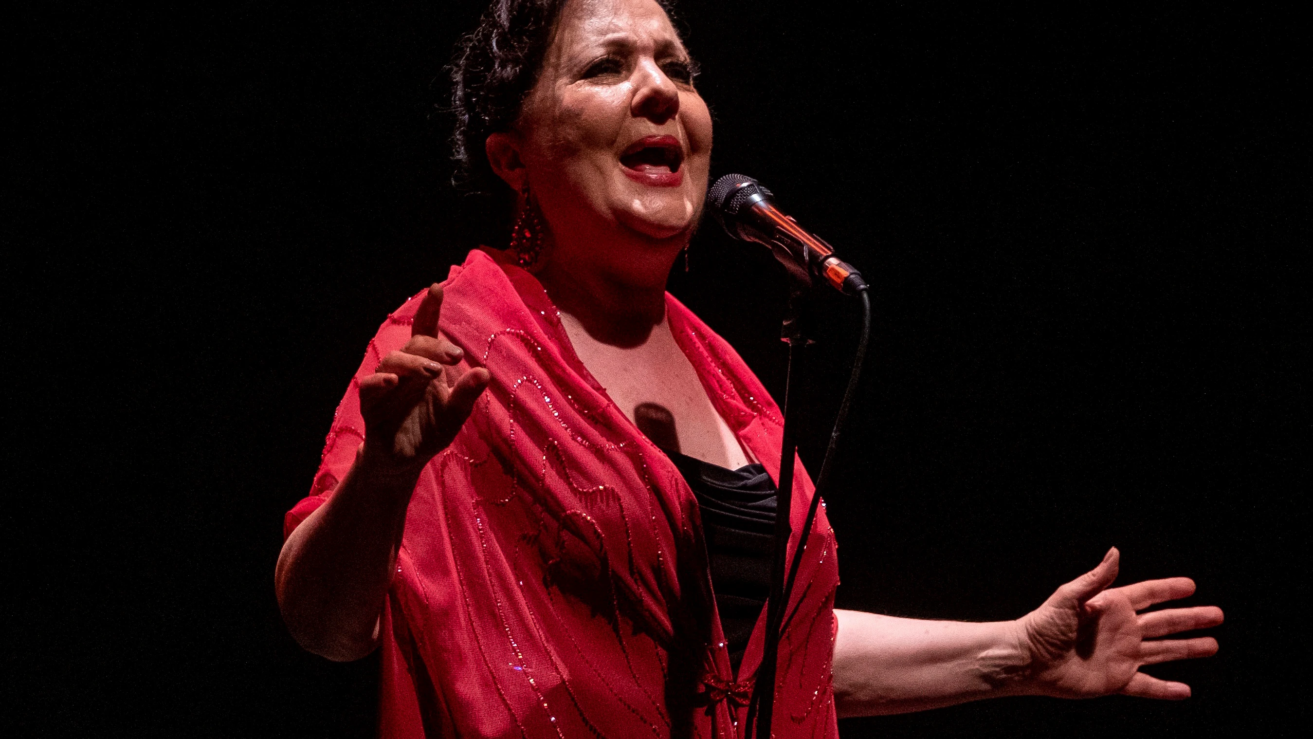 Reconocimiento al flamenco