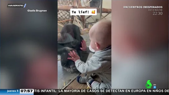 Bebé y mono Bebé y mono