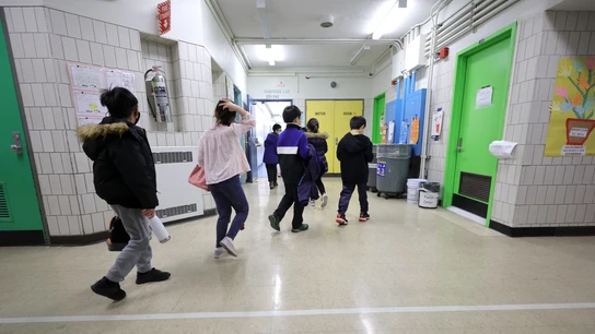 Niños en un colegio Niños en un colegio | Foto: Michael Loccisano/Getty Images