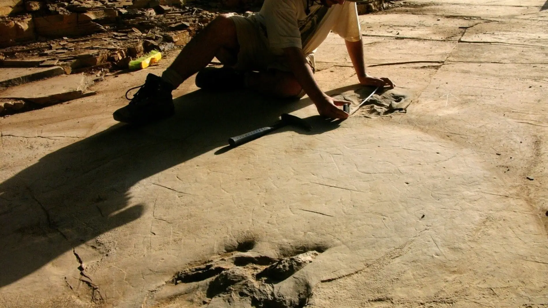 Un dinosaurio carnivoro con una deformidad en el pie cruzo Las Hoyas dejando sus huellas