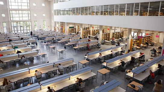 Cómo prepararse para la EvAU (o selectividad): estos son los consejos de los psicólogos Cómo prepararse para la EvAU (o selectividad): estos son los consejos de los psicólogos