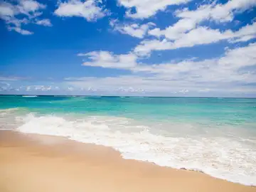 Playa