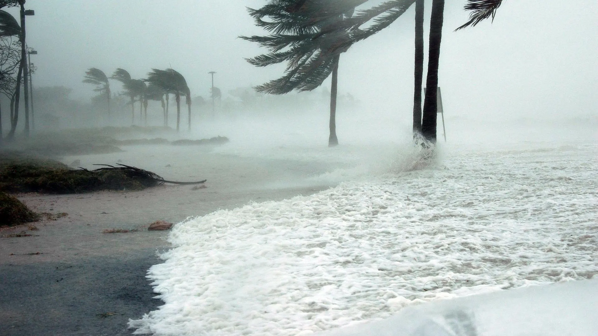 El cambio climatico influyo en la lluvia de los huracanes en 2020