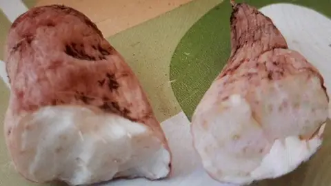 Nabo del diablo Nabo del diablo