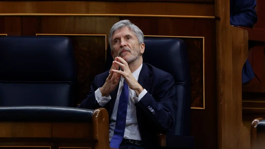 El ministro del Interior, Fernando Grande-Marlaska durante el Pleno del Congreso celebrado este miércoles El ministro del Interior, Fernando Grande-Marlaska durante el Pleno del Congreso celebrado este miércoles/ EFE/J.J.Guillén
