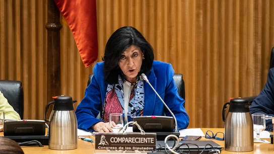 Esperanza Casteleiro, de la secretaría de Estado de Defensa a dirigir el CNI Esperanza Casteleiro, de la secretaría de Estado de Defensa a dirigir el CNI