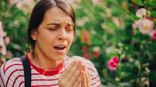 Imagen de archivo de una mujer estornudando. Imagen de archivo de una mujer estornudando.