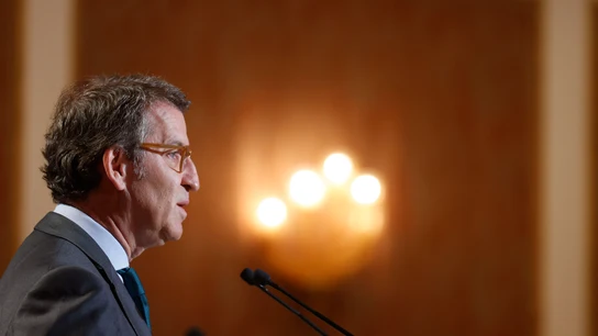 El presidente del PP, Alberto Núñez Feijóo. El presidente del PP, Alberto Núñez Feijóo.