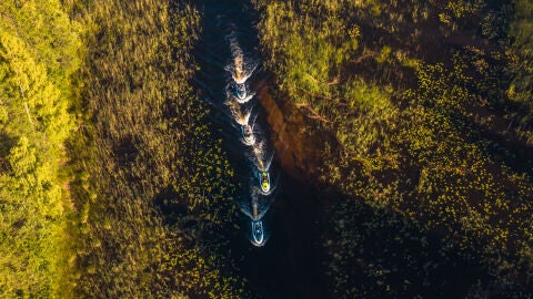 Safari de lujo