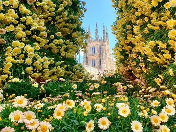 Burgos está de fiestas de mediados a finales de mayo Burgos está de fiestas de mediados a finales de mayo