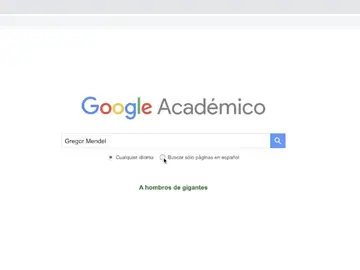 Google Académico Google Académico