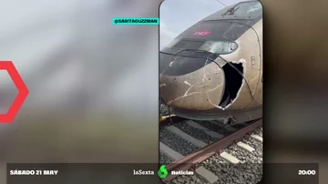 El tren afectado por el desprendimiento de una catenaria
