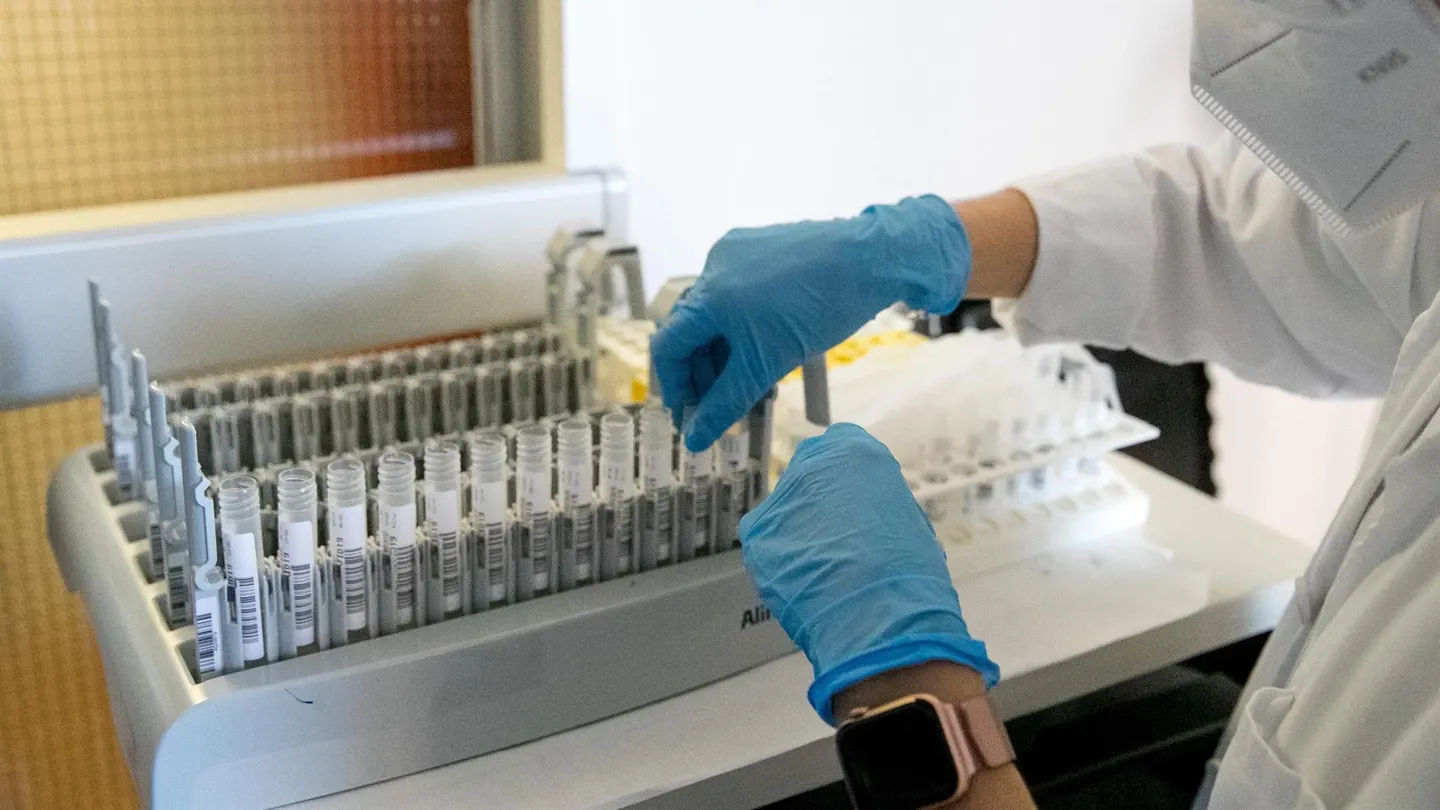 Una sanitaria prepara las probetas en un laboratorio, en una fotografía de archivo. Una sanitaria prepara las probetas en un laboratorio, en una fotografía de archivo.