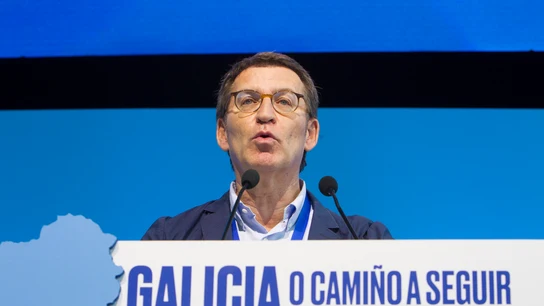 El presidente del PP, Alberto Núñez Feijóo El presidente del PP, Alberto Núñez Feijóo