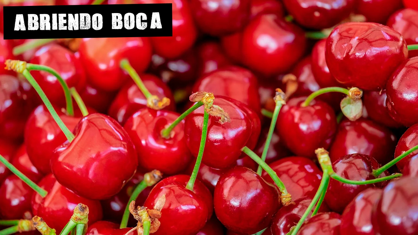 Cerezas: descubre sus beneficios contra el ácido úrico Cerezas: descubre sus beneficios contra el ácido úrico