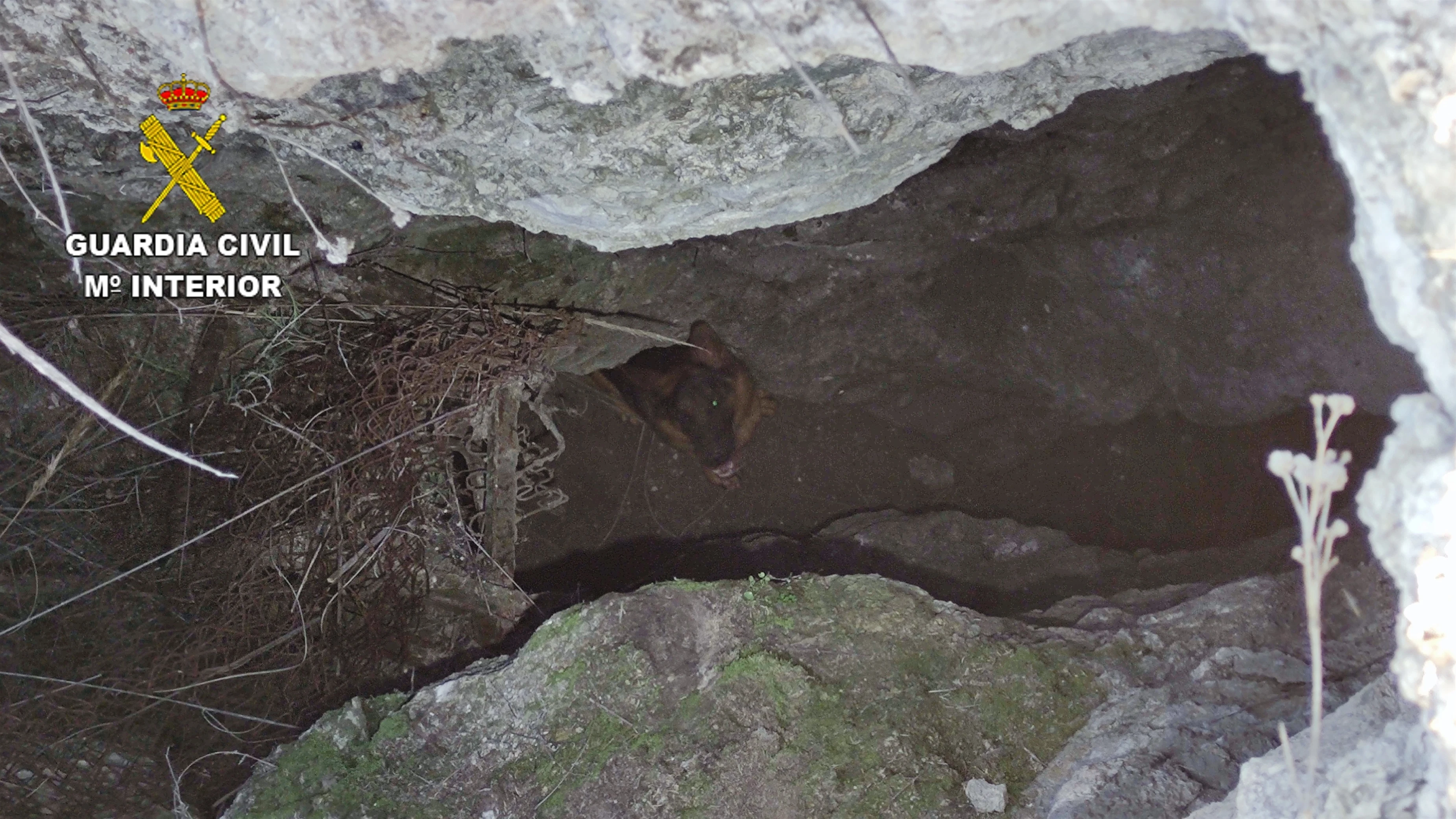 Rescatan a una perrita tras caer a seis metros de profundidad en una zona de trincheras de la Guerra Civil 