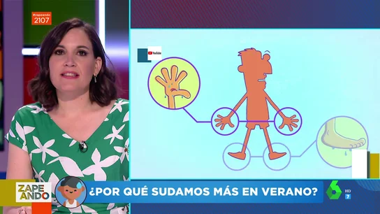 Boticaria García Boticaria García