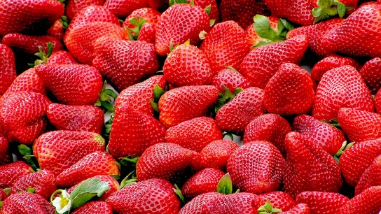 Imagen de archivo de fresas Imagen de archivo de fresas