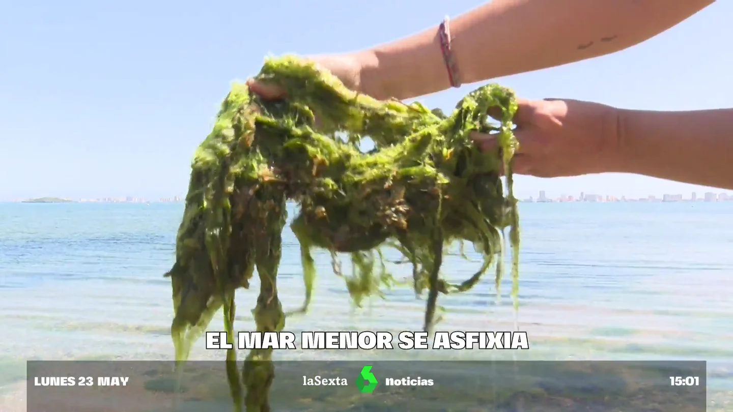 La 'sopa verde' que sigue asfixiando al Mar Menor: ¿cuáles son las previsiones para este verano? Desastre medioambiental