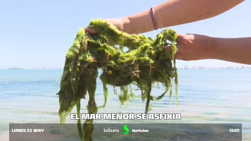 La 'sopa verde' que sigue asfixiando al Mar Menor: ¿cuáles son las previsiones para este verano?