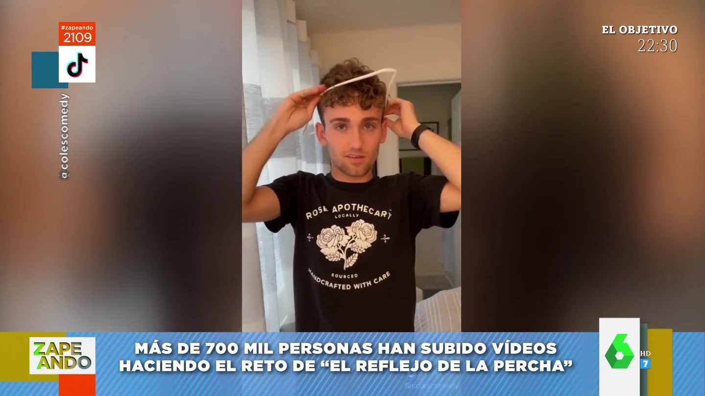 percha percha