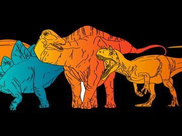 Nuevas evidencias de que los dinosaurios autorregulaban su temperatura corporal
