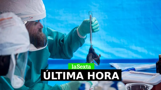 Viruela del mono, última hora: contagios, vacuna y casos confirmados en España, en directo Viruela del mono, última hora: contagios, vacuna y casos confirmados en España, en directo