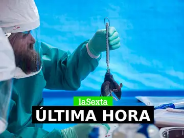 Viruela del mono, última hora: contagios, vacuna y casos confirmados en España, en directo