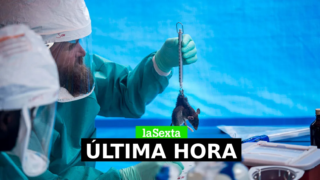 Viruela del mono, última hora: contagios, vacuna y casos confirmados en España, en directo