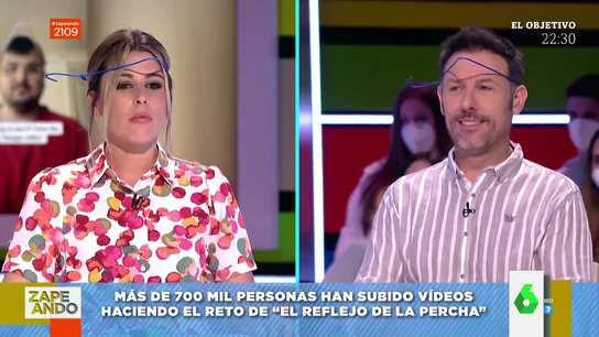 percha plato percha plato