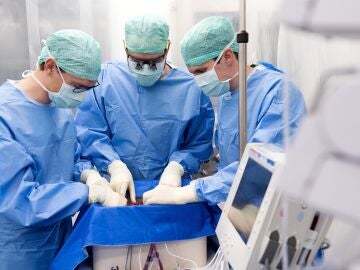 cirujanos trasplantan hígado