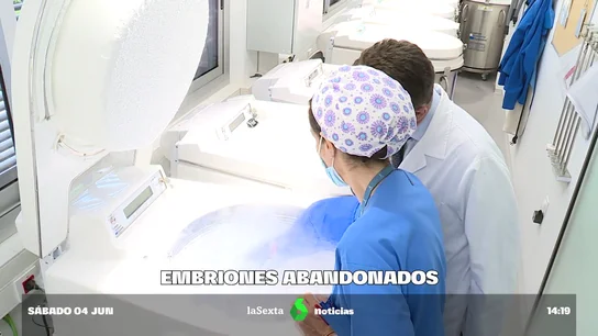 Embriones congelados Embriones congelados