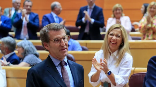 Feijóo, aplaudido por la bancada popular en el Senado Feijóo, aplaudido por la bancada popular en el Senado