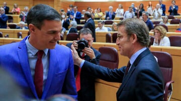 El presidente del gobierno Pedro Sánchez, y el líder del PP Alberto Nuñez Feijóo, durante la sesión de control este martes en la Cámara Alta en Madrid.