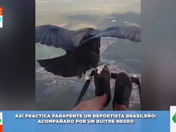 El vídeo viral de un paracaidista que se hace &#39;amigo&#39; de un buitre en pleno vuelo: ¡hasta se deja acariciar! 
