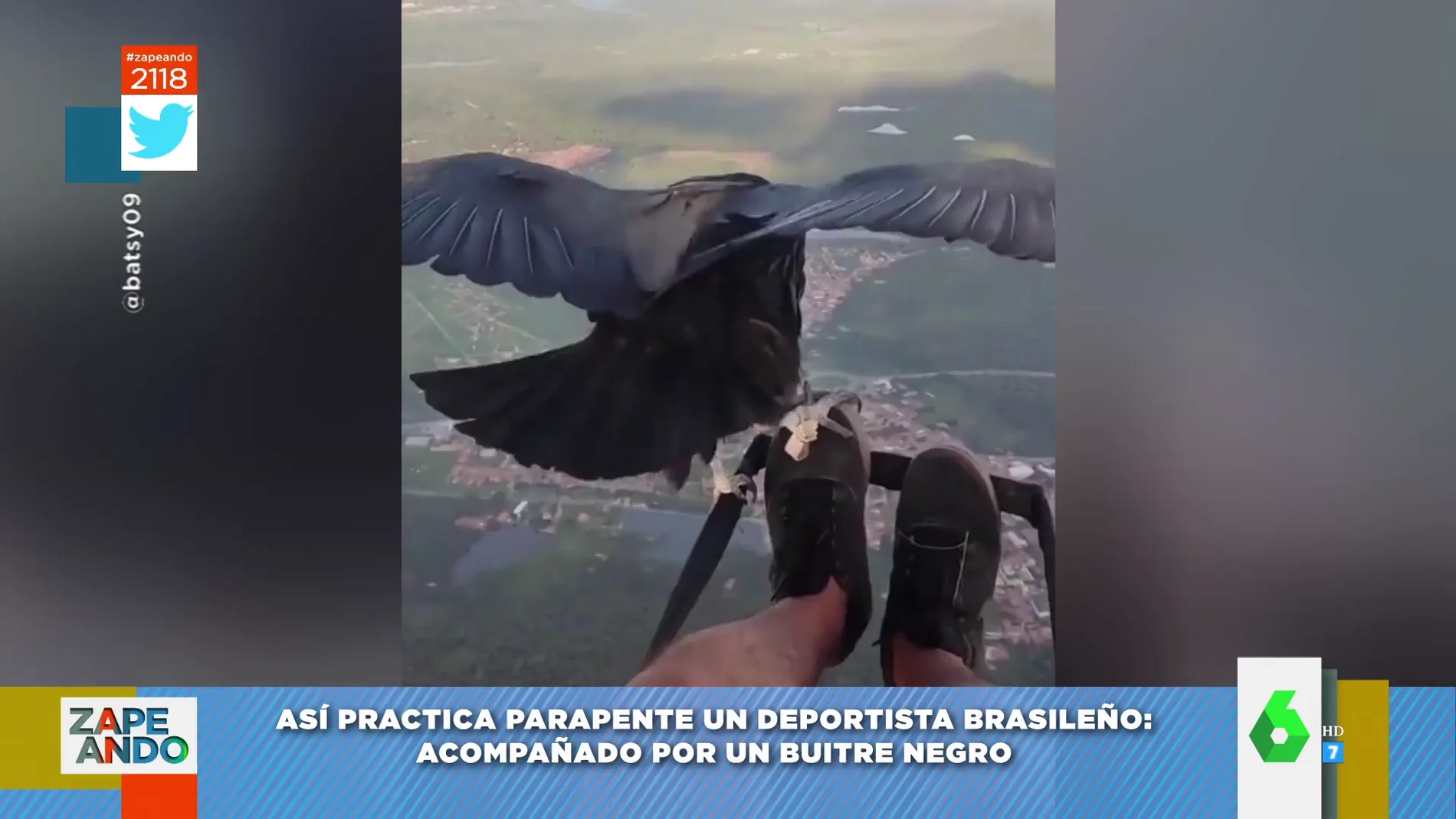 El vídeo viral de un paracaidista que se hace 'amigo' de un buitre en pleno vuelo: ¡hasta se deja acariciar! 